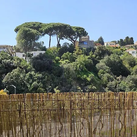 Cozy T4 Walk To & Congress