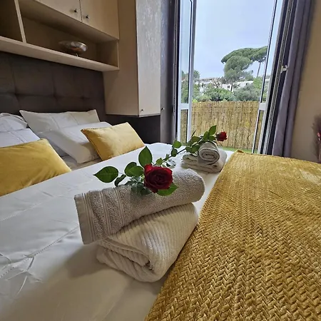 アパート Cozy T4 Walk To & Congress *